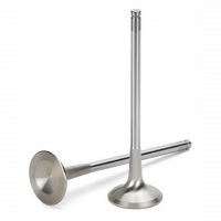 Supertech Inconel Exhaust Valve SPORTIGNITION